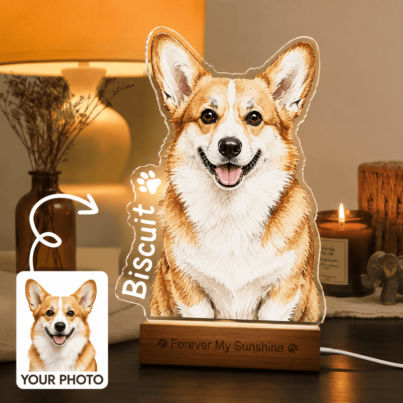Preview your design