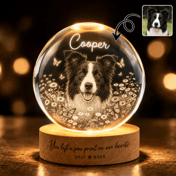 Custom Pet Memorial Crystal Ball Night Light from Photo – Personalized Dog Loss Gift Keepsake