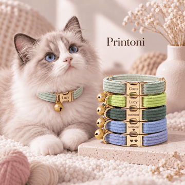 Custom Pet Collar with Name Plate, Personalized Velvet Cat & Dog Collar with Bell, Engraved Name Gift for Pet Lovers