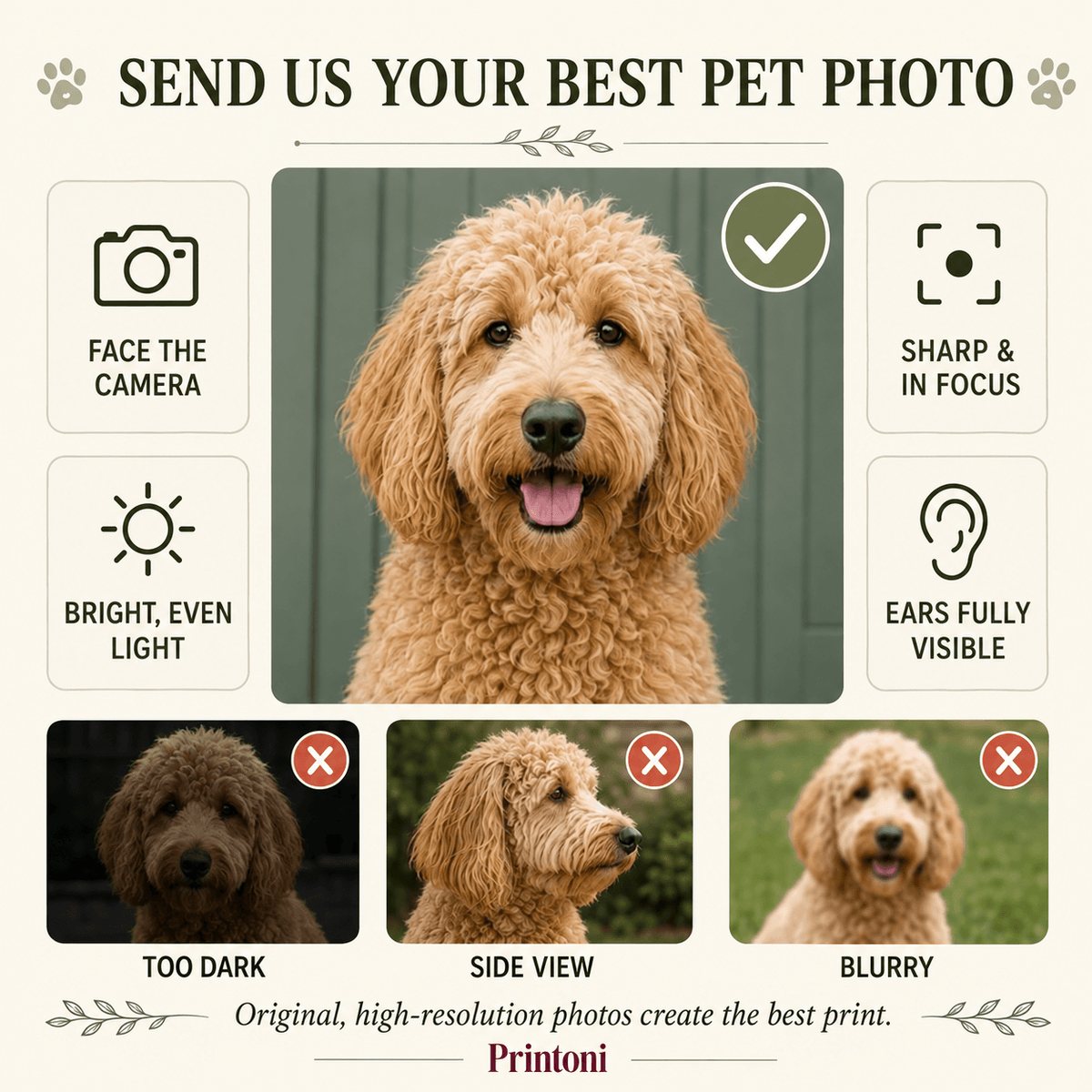 Custom Pet Face Blanket from Photo, Personalized Dog & Cat Name Blanket, Pet Lover Gift