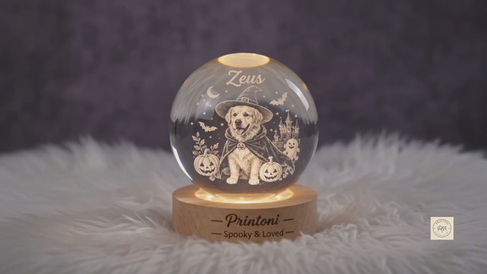 Custom Halloween Pet Night Light, Personalized Crystal Ball Dog Cat Lamp with Name, Spooky Pet Lover Gift, Halloween Decor